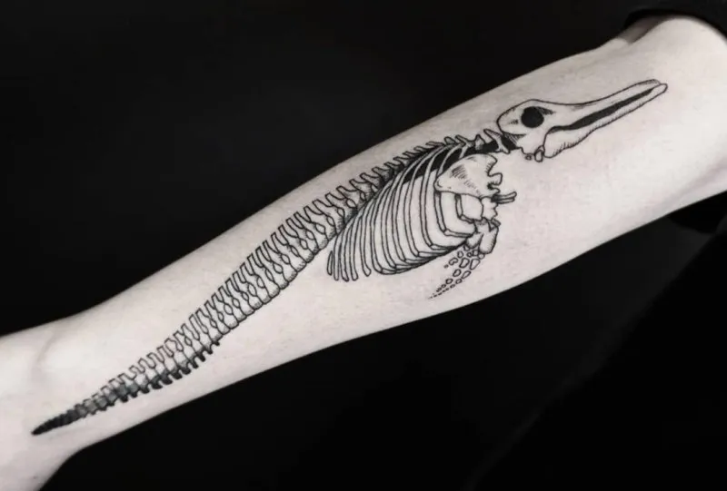 ๋๊ณ ๋๋ผ - 1