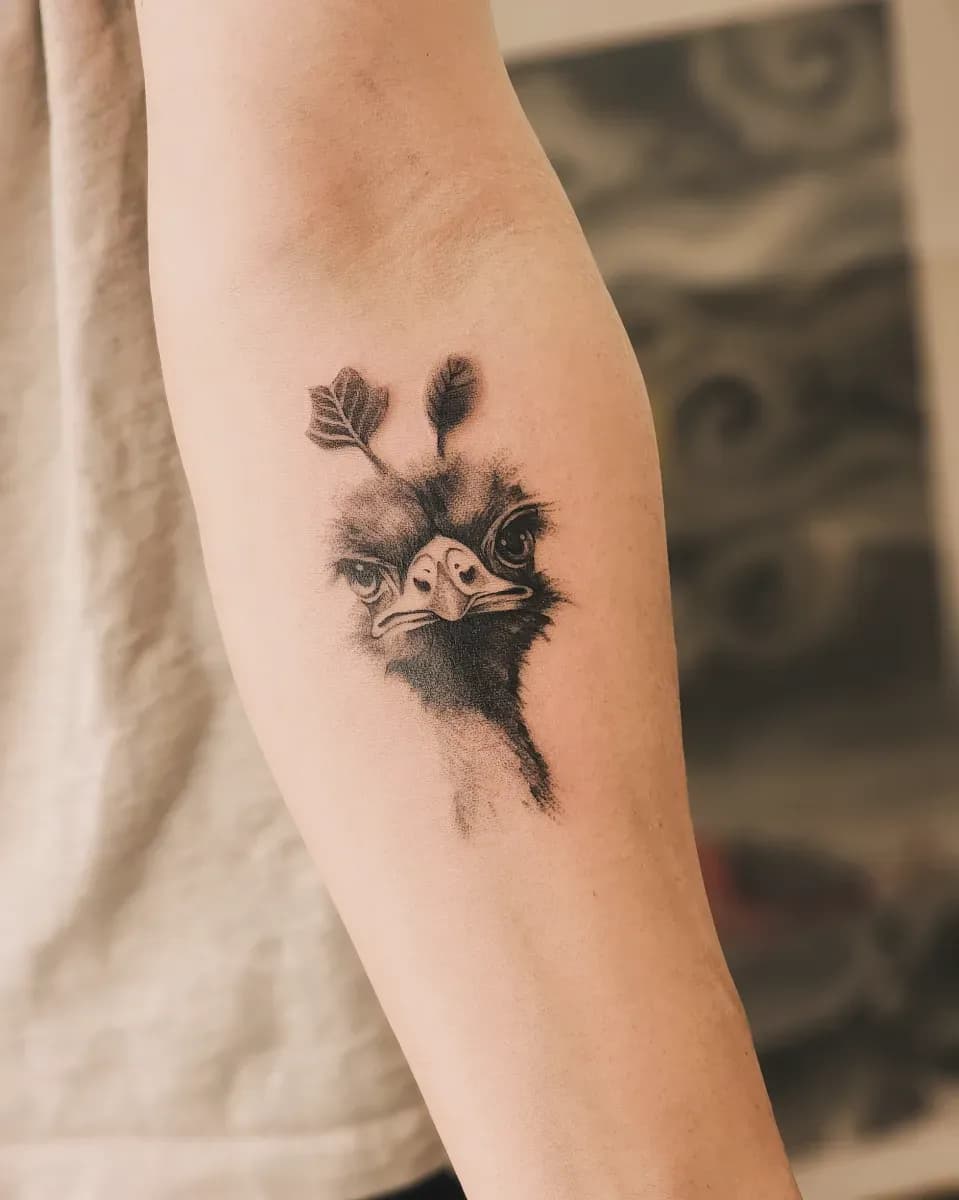 ํ์กฐ ๋ธ๋์ค๊ทธ๋ ์ด