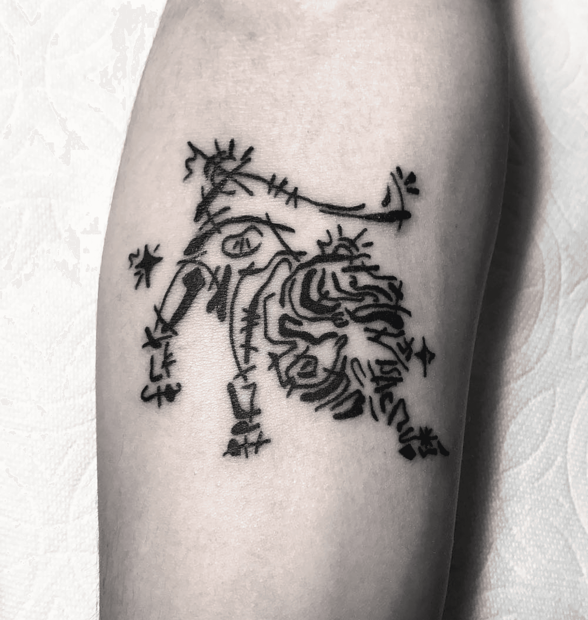 사자자리 별자리