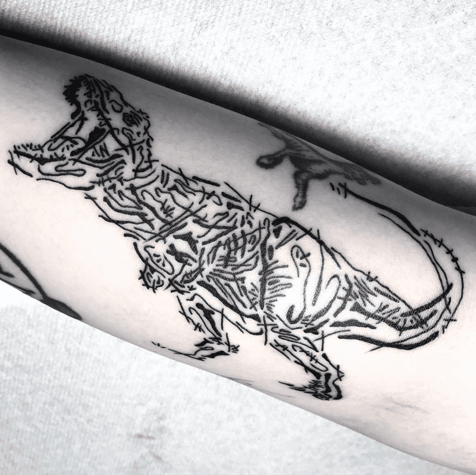 티라노사우르스