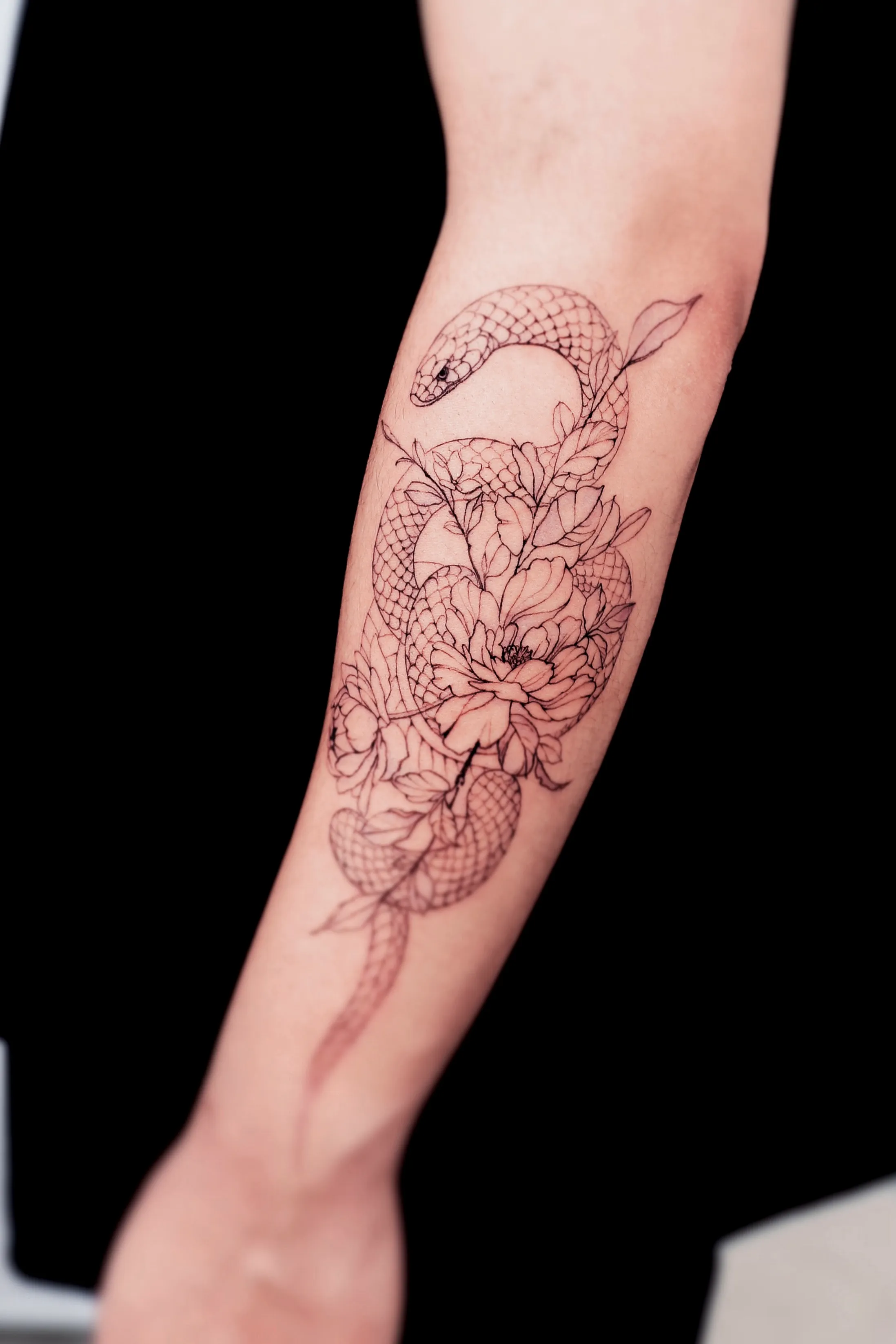 ๊ฝ๊ณผ ๋ฑ - 1