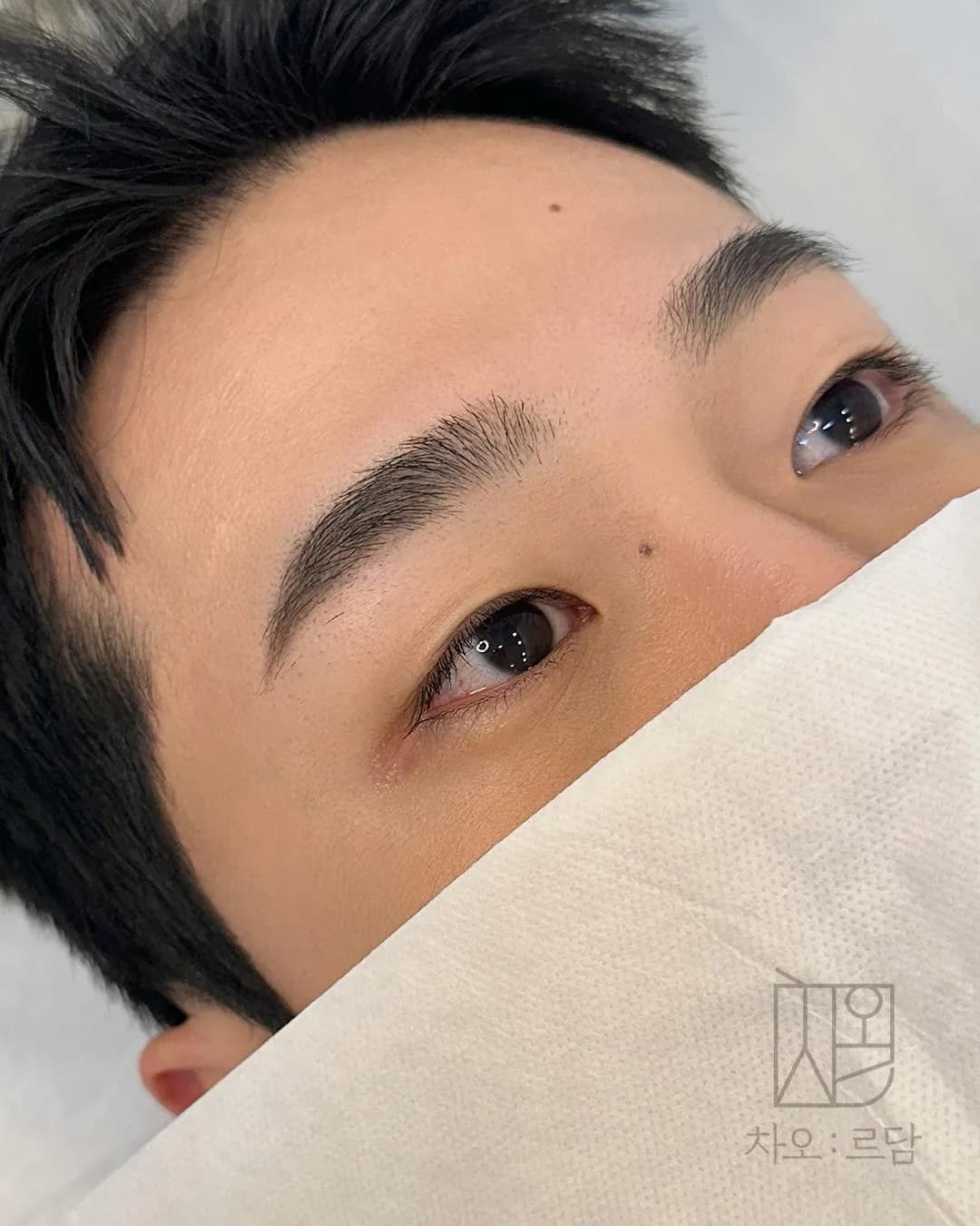 차오르담 남자눈썹 - 1