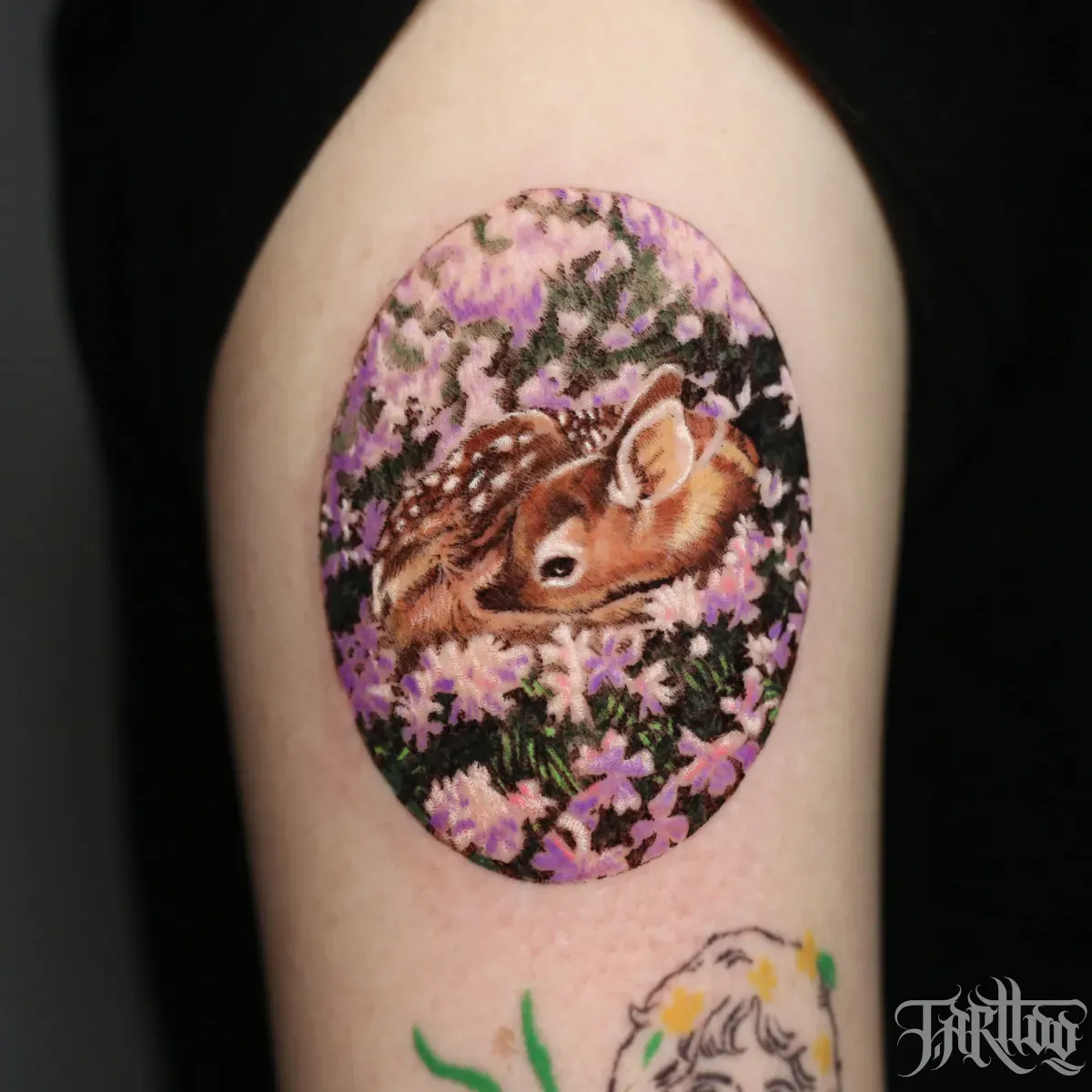 ๊ฝ์ฌ์ด - 1