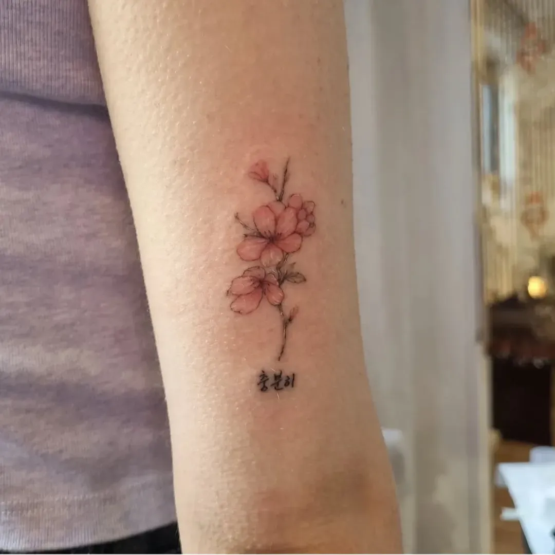 ๋ฒ๊ฝํํฌ, ์ฌ์ํํฌ, ์ปฌ๋ฌํํฌ, ํํฌ, ํํฌ์ด๋ฒคํธ, ํ๋ํํฌ, ์ ์ดํํฌ, ์์ธํํฌ, ๊ฝํํฌ