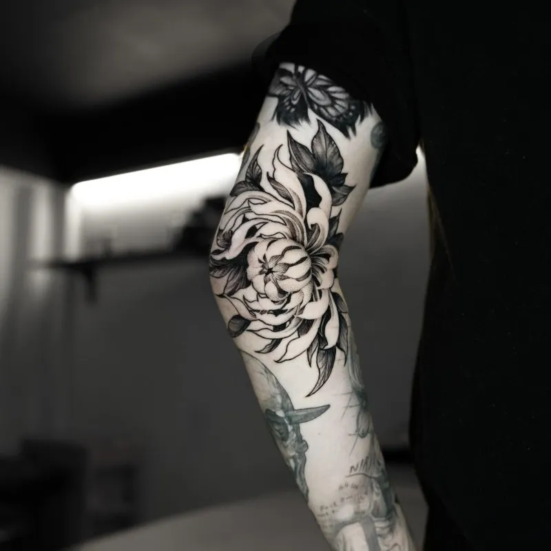 ⚡️빈공간 국화⚡️ - 1