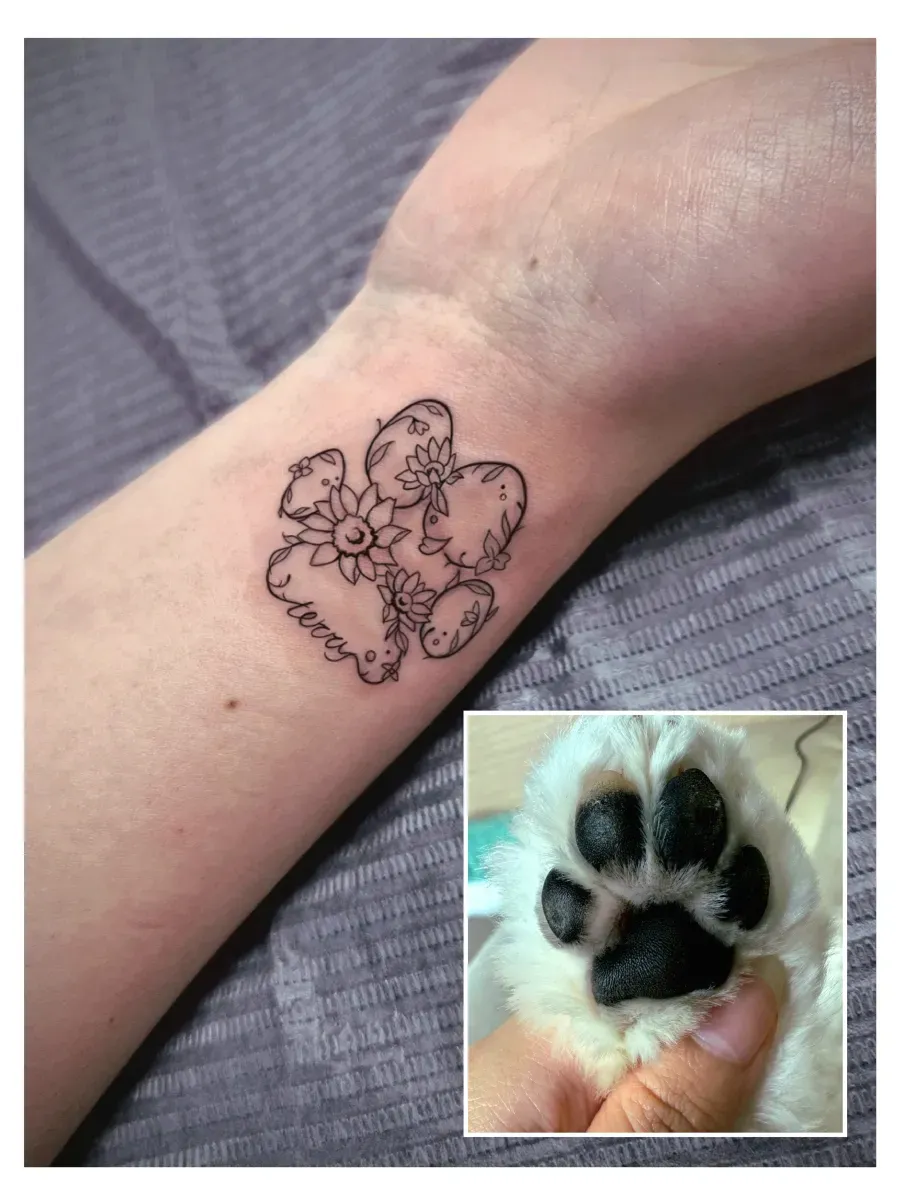 ๋ฐ๋ ค๊ฒฌํํฌ . ๊ฐ์์ง๋ฐ๋์ฅํํฌ - 1