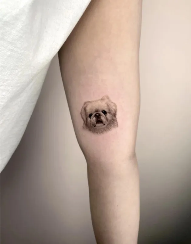 강아지타투
