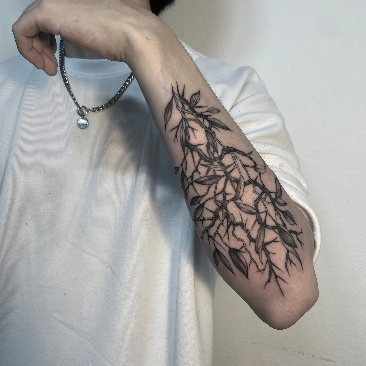 ๊ฐ์ํํฌ ๋๋ญ์ํํฌ