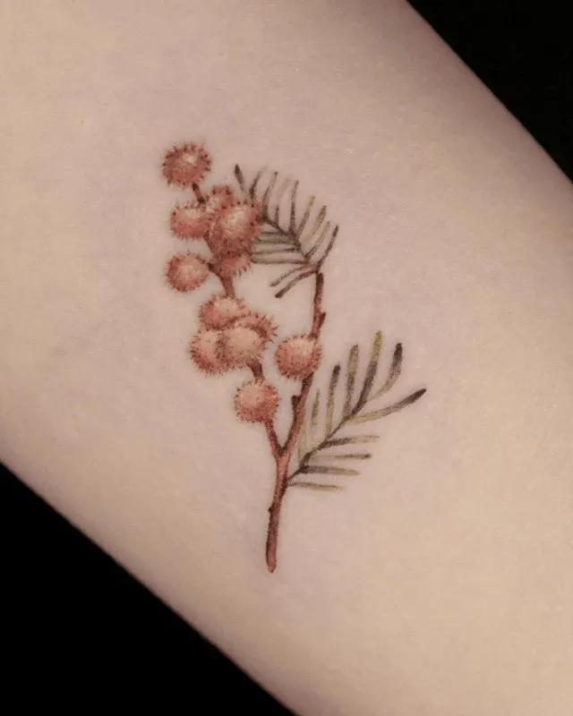 ํ์ํ ๋ฏธ๋ชจ์ฌํํฌ5cm