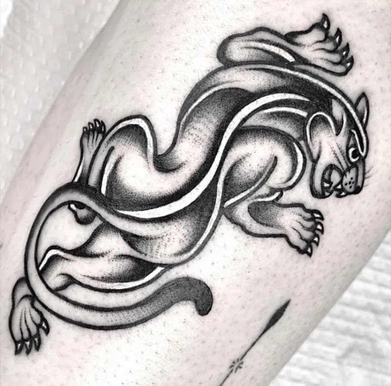 ๋ธ๋์ค์ฟจ ์ฌ๋์ค์ฟจ ๋ธ๋ํฌ์ํํฌ