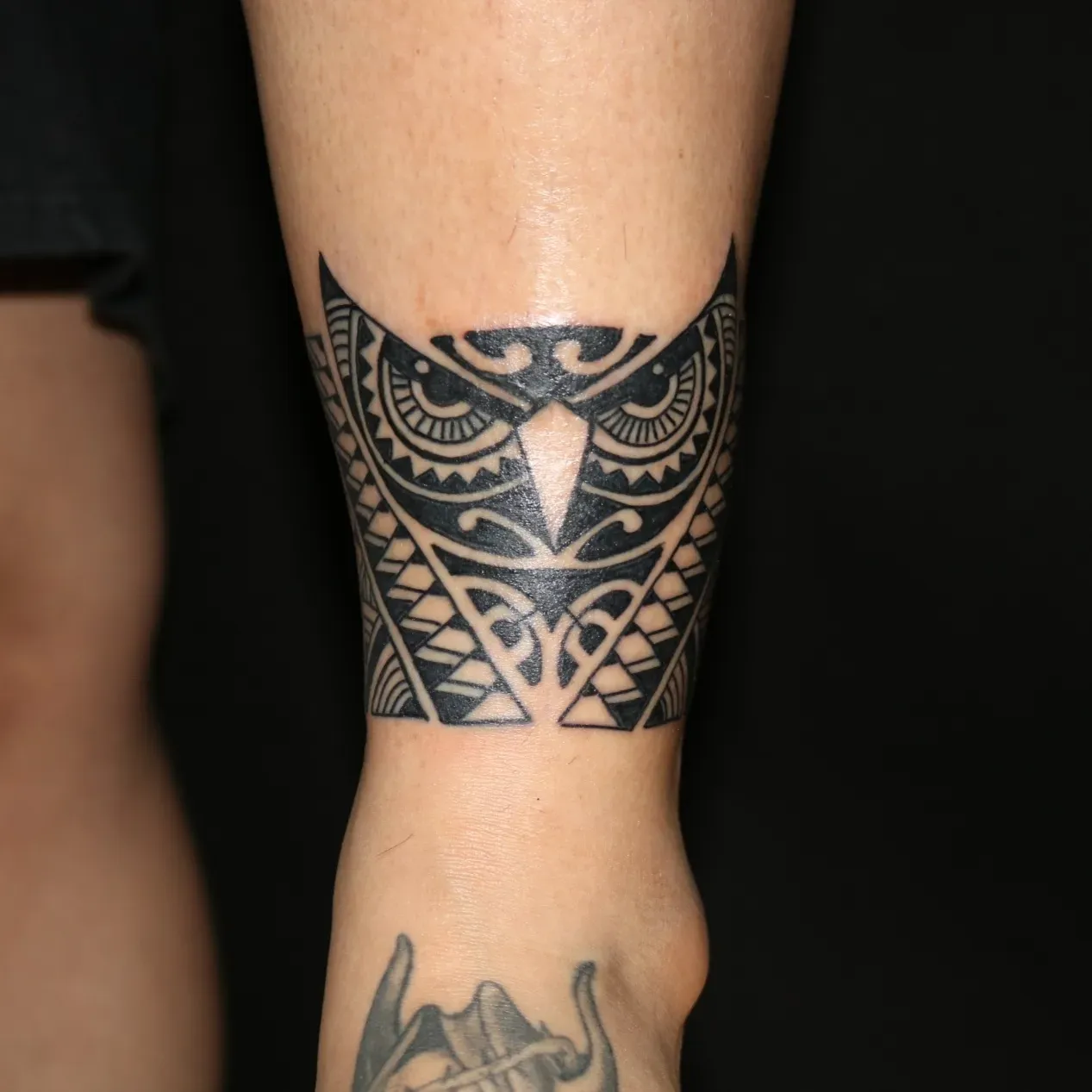 ๋ถ์์ด ํด๋ฆฌ๋ค์์ ๋ฐด๋ - 1