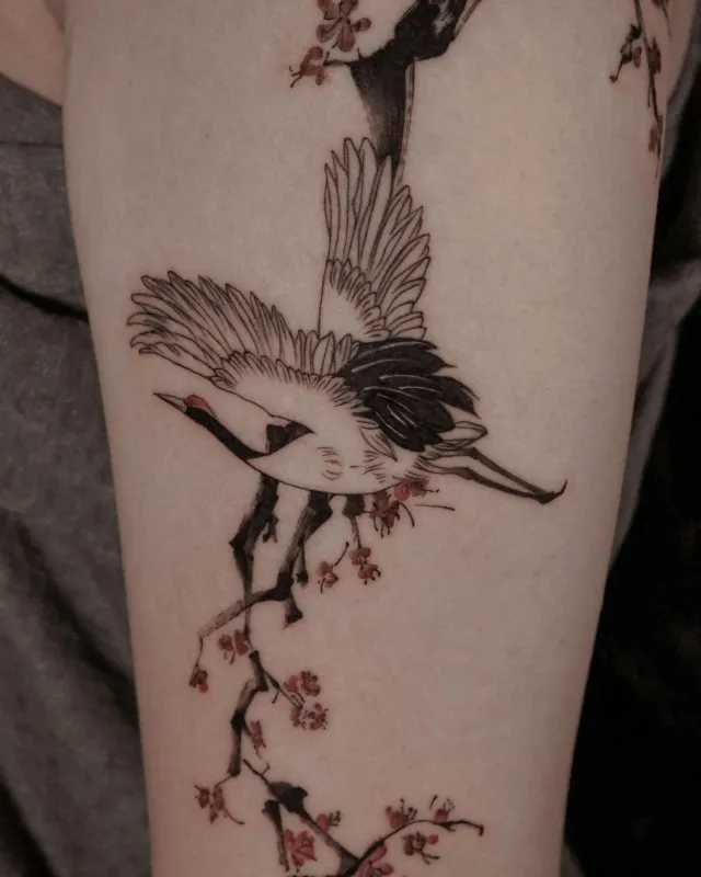 ํ๊ณผ๋งคํ๋๋ฌด