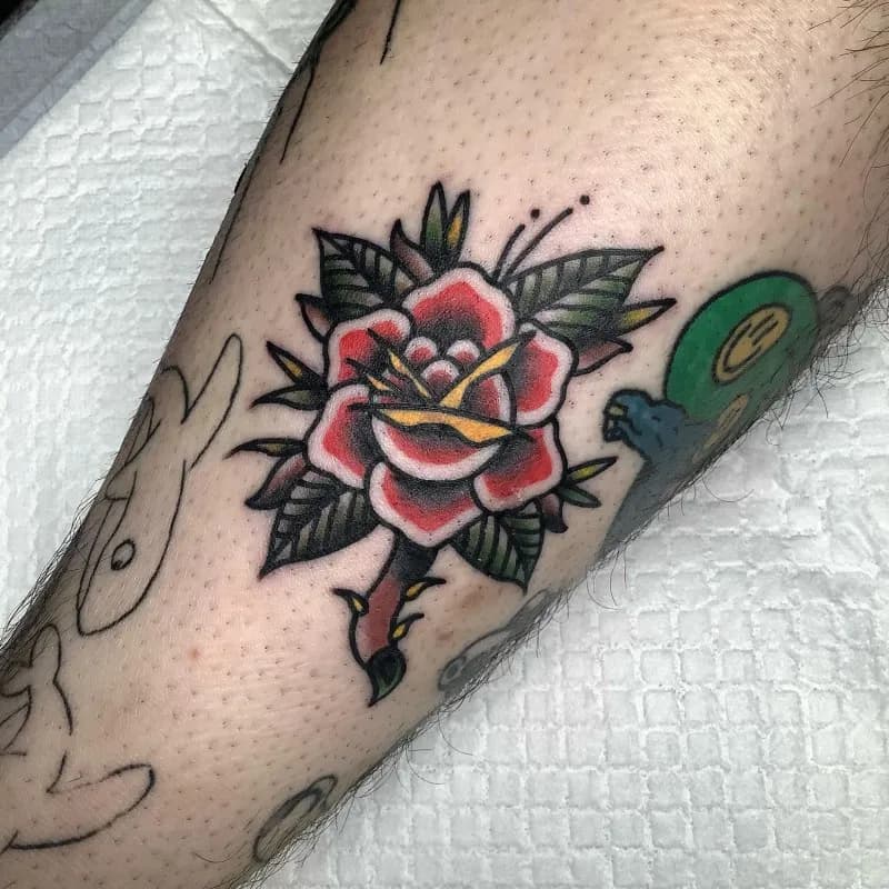 ์ค์ฟจ ์ฅ๋ฏธ