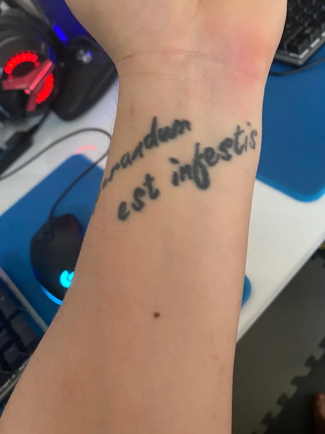 ํ๋ชฉ ์ปค๋ฒ์
์ฅ๋ฏธ ํํฌ - 1