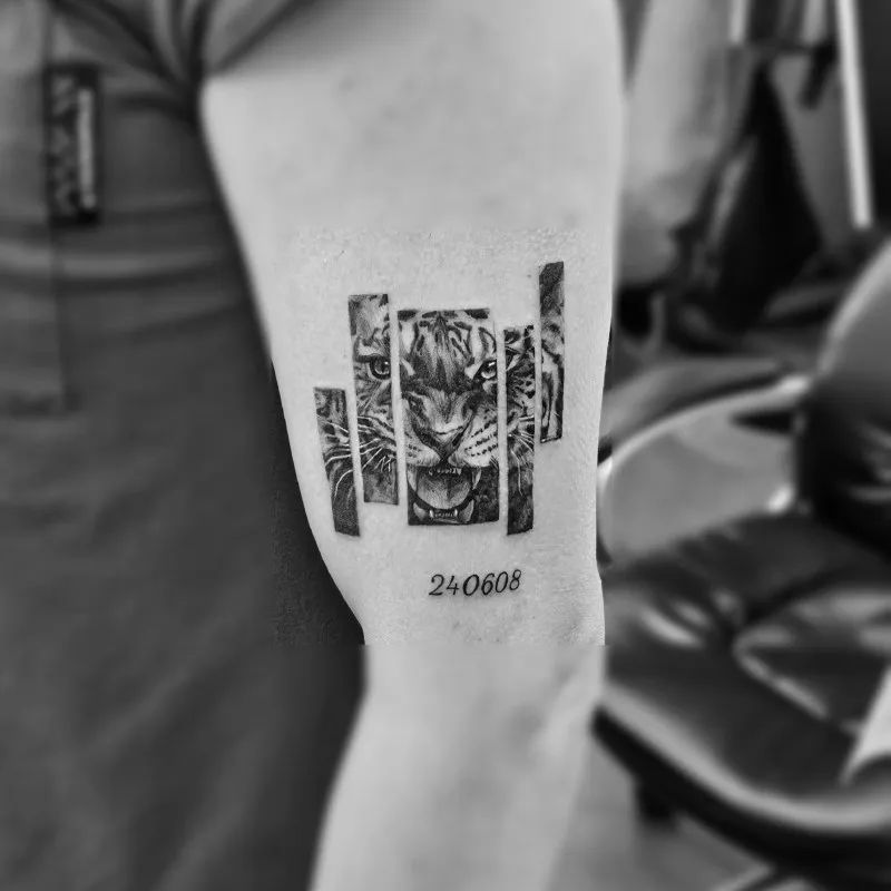 ํธ๋์ด ๋ ํฐ๋ง ํํฌ