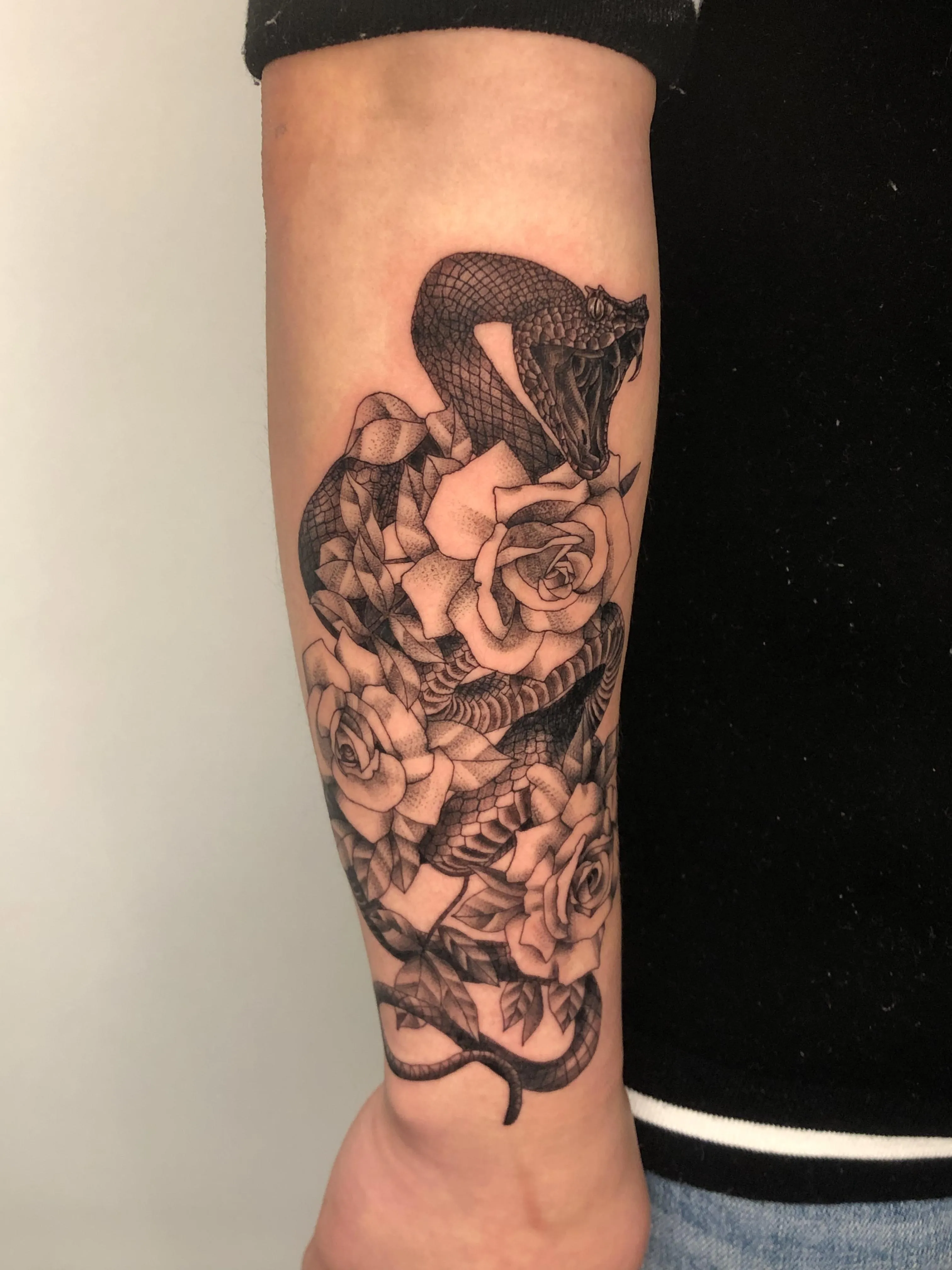 ๋ฑ๊ณผ ์ฅ๋ฏธ - 1