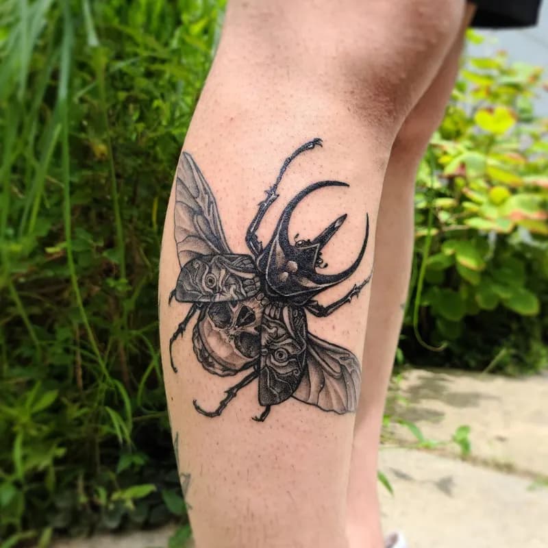 ์ผ์ด๋ก ์ฅ์ํ๋
์ด / ๋๊นจ๋น / ํด๊ณจ / ๋ธ๋์ํฌ - 1