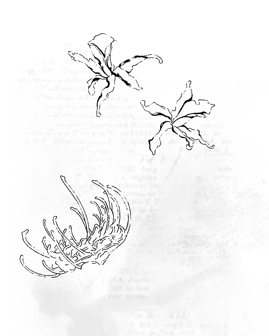 빈티지 꽃타투 - 1