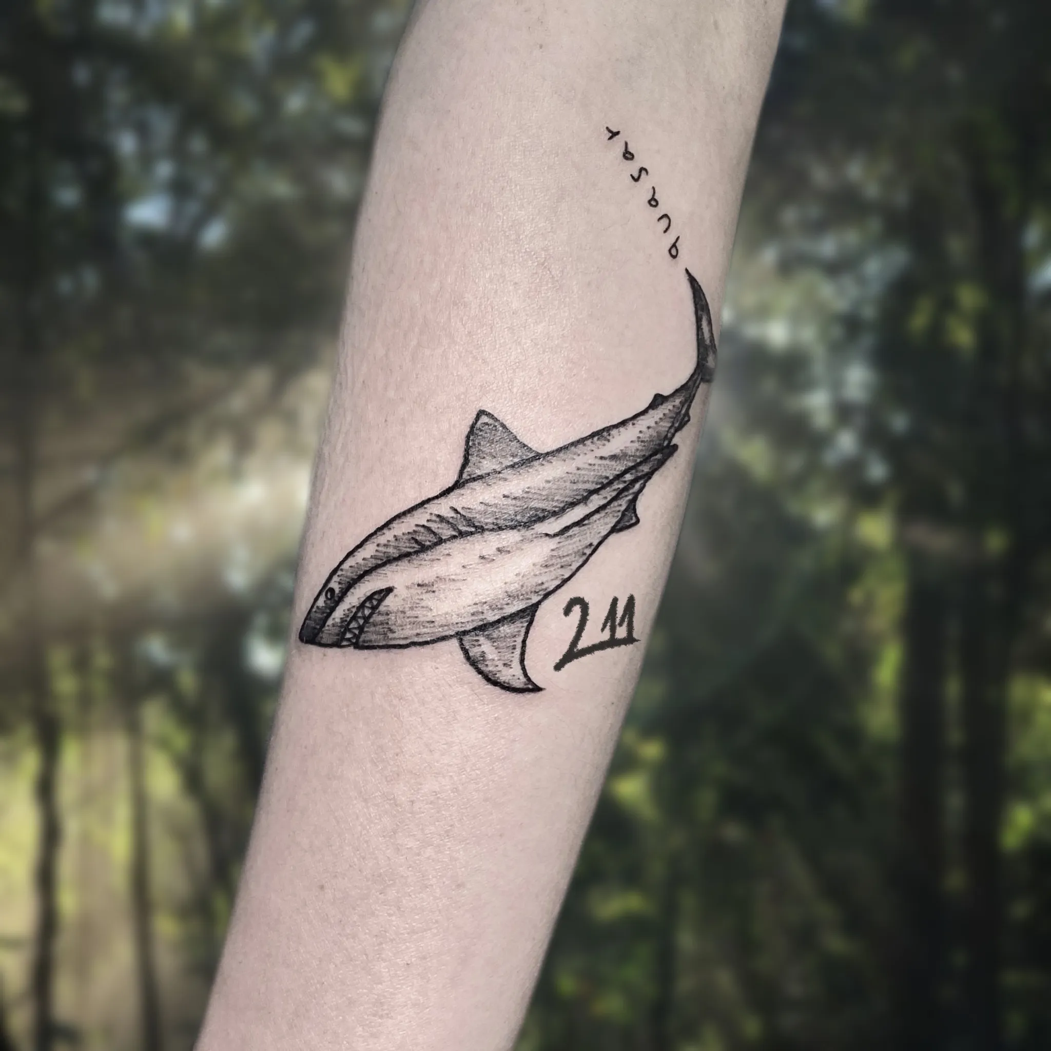 ์์ด ํํฌ - 1