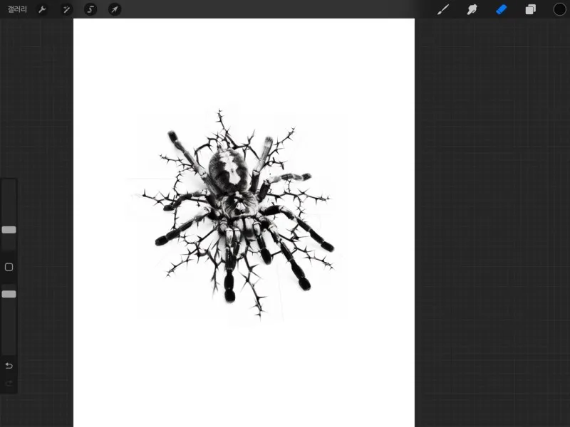 가시거미줄+거미 - 1