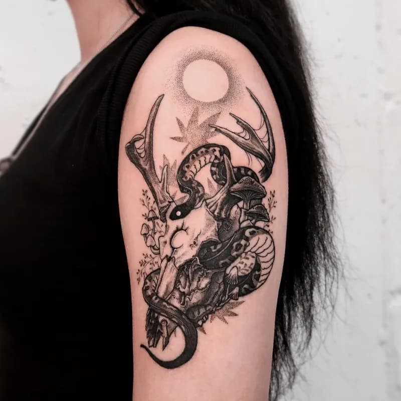 ์ฌ์ด ํด๊ณจ ๋ฑ ์ค์ปฌํธ ํํฌ - 1