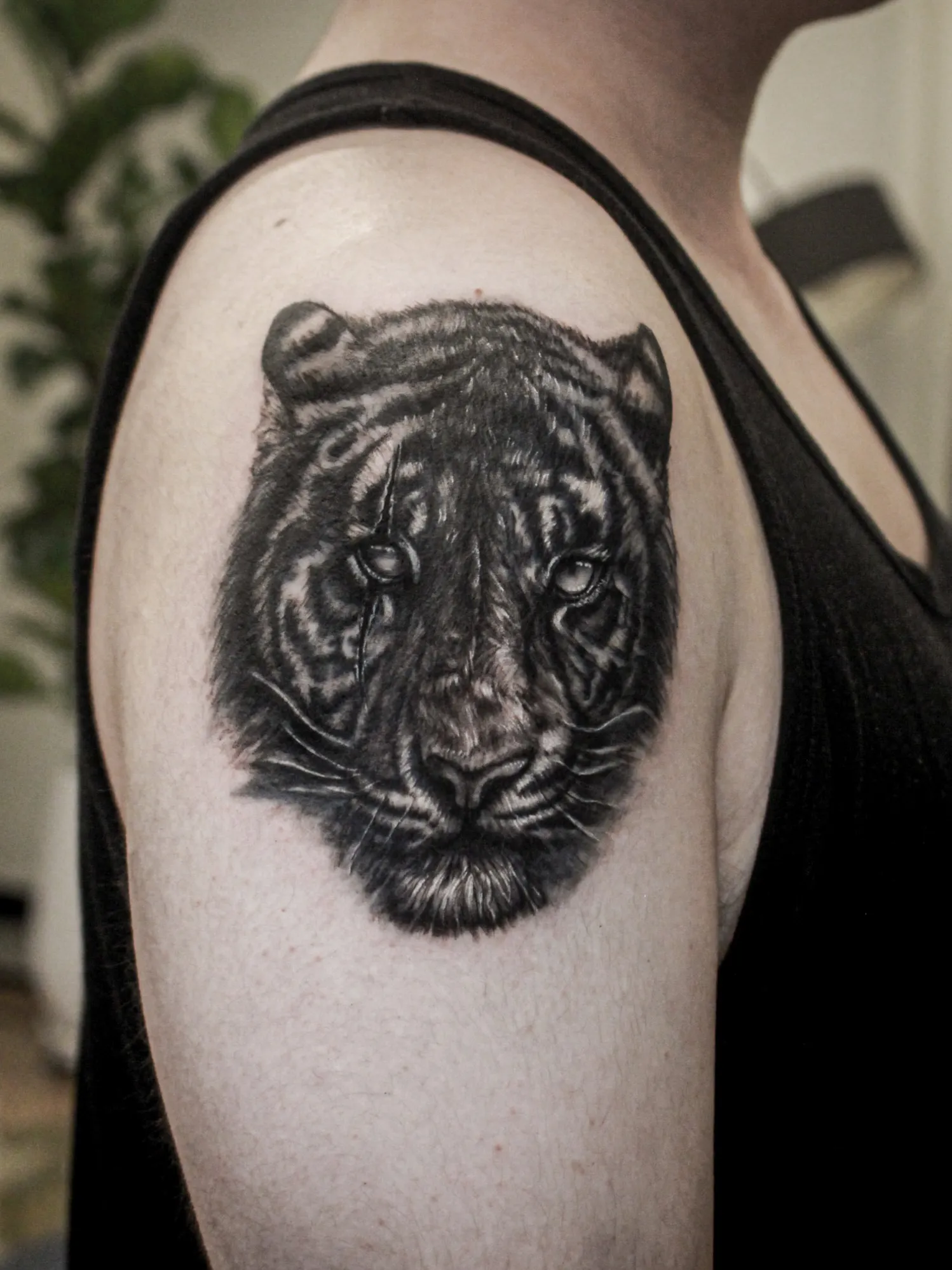 ํธ๋์ด ํฐ์น์
์ปค๋ฒ์