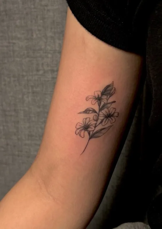 ํ ์๋ฐ ํ์ํ ํํฌ - 1