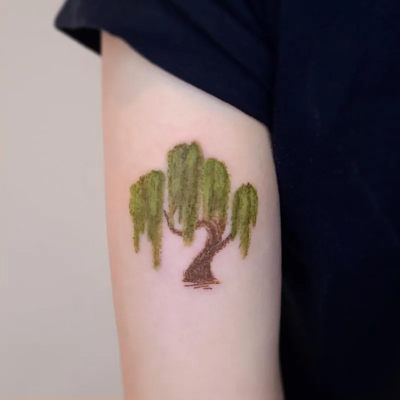 ๋ฒ๋๋๋ฌด ํฌ๋ ํ์ค - 1