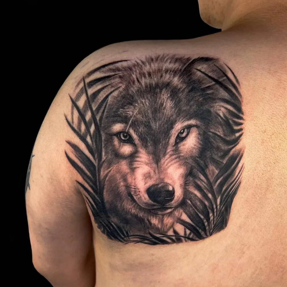 ๋๋ ๋ฑ ํํฌ