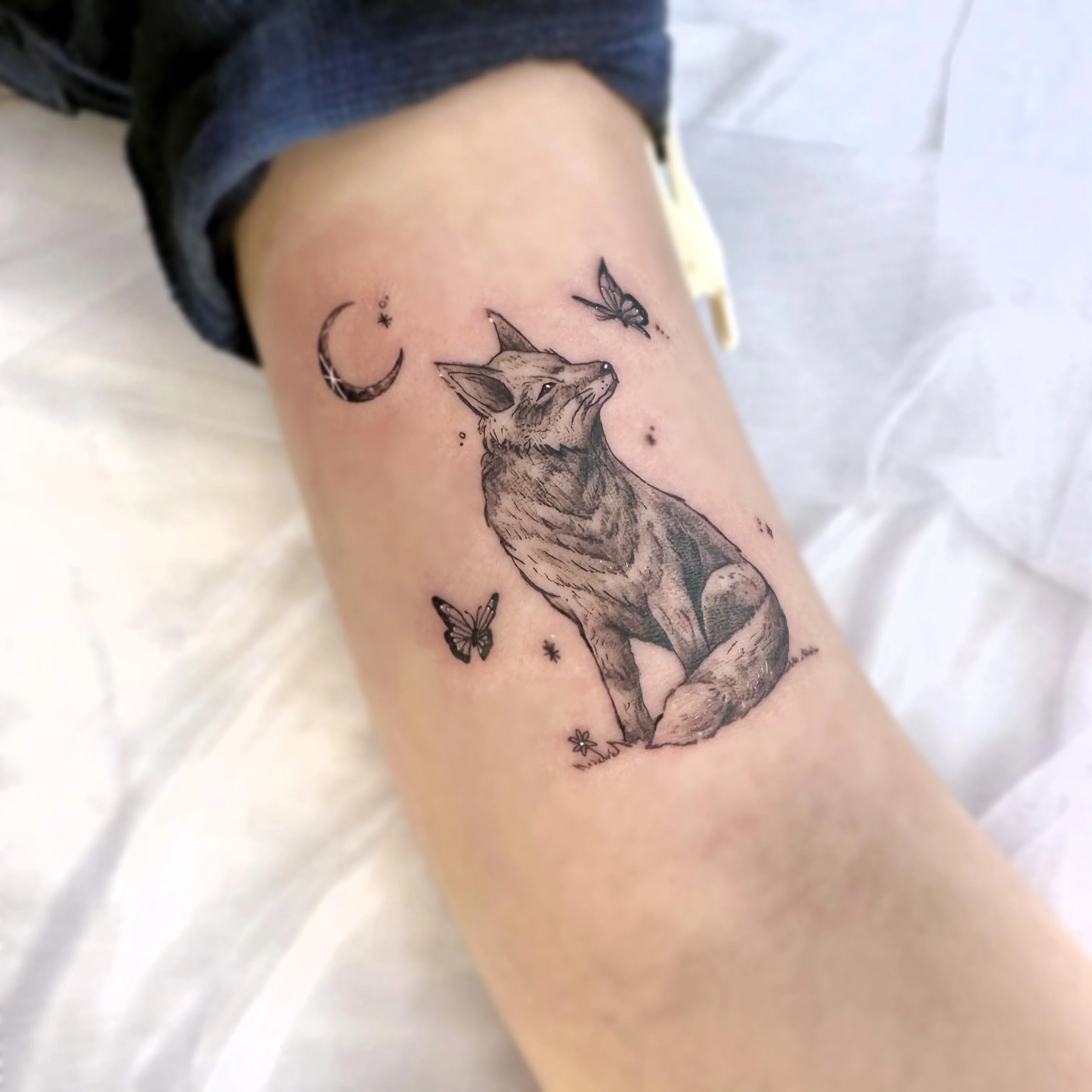 ์ฌ์ฐ ํํฌ - 1